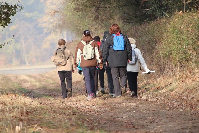 Winterswijk Stiltewandeling